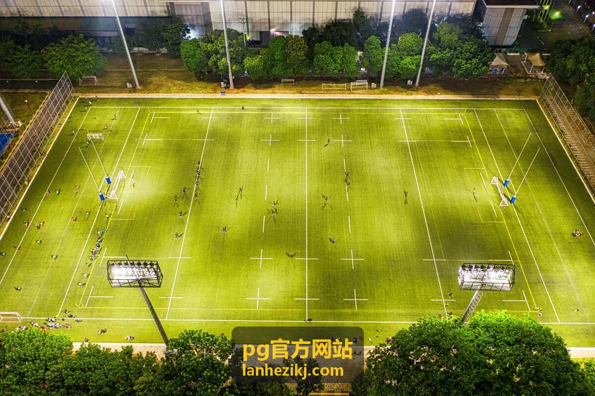 pg官方网站客户端数据面板视图