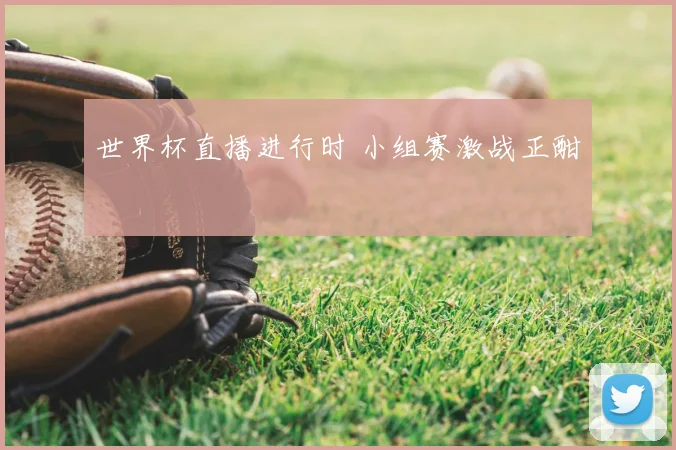 世界杯直播进行时 小组赛激战正酣