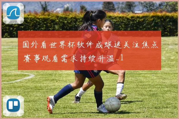 国外看世界杯软件成球迷关注焦点 赛事观看需求持续升温_1