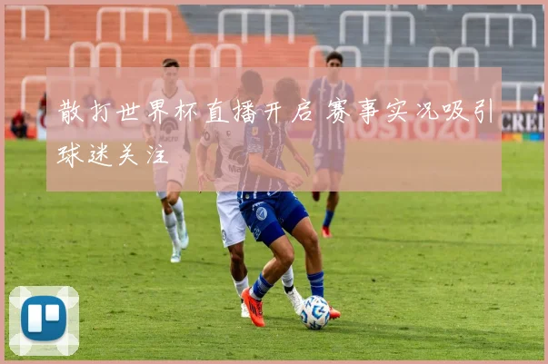散打世界杯直播开启 赛事实况吸引球迷关注