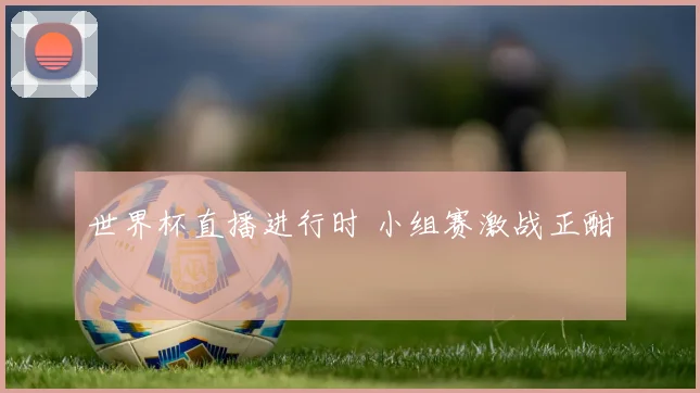 世界杯直播进行时 小组赛激战正酣